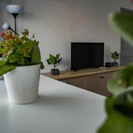Apartment Modern 1 Bedroom In Center!